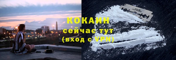 apvp Пересвет