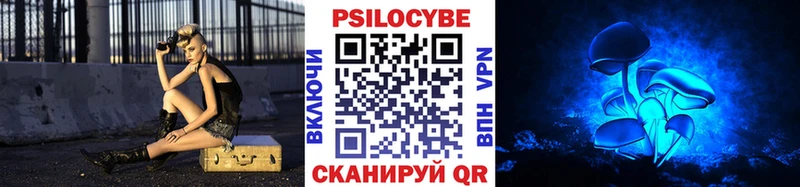 Псилоцибиновые грибы Cubensis  продажа наркотиков  Асино 