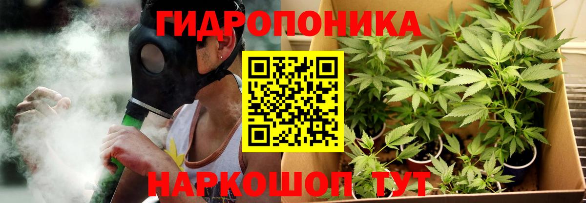 Канабис MAZAR Асино